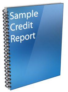 sample credit report download